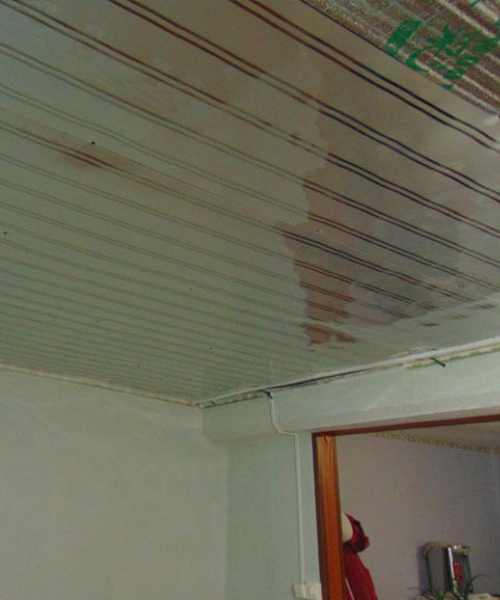 Наши проекты 3