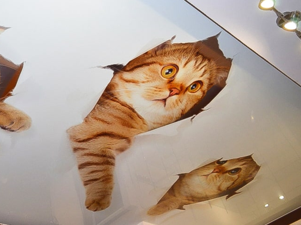  Фотопечать фото 5