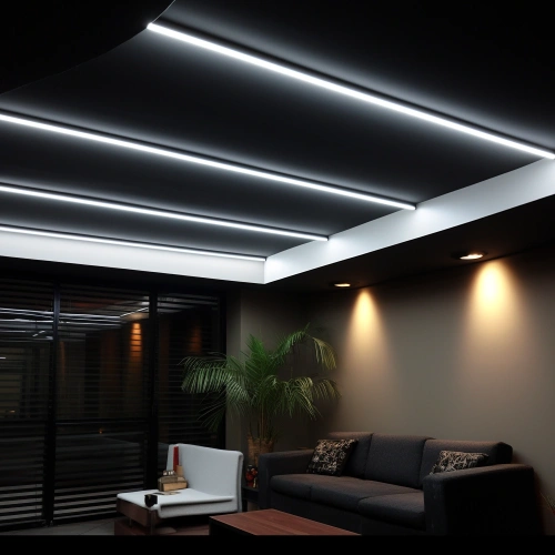 Черно-белый потолок со световыми линиями